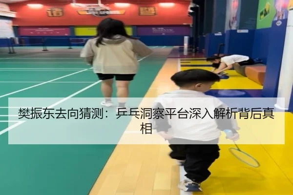 樊振东去向猜测：乒乓洞察平台深入解析背后真相